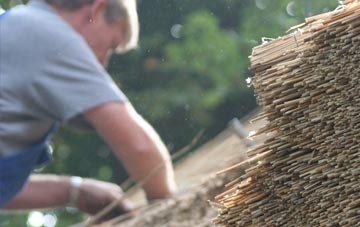 professional Succoth thatchers